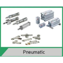 Pneumatic