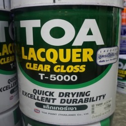Wholesale lacquer shiny TOA tank