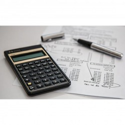 Auditor English