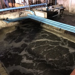 Activated Sludge Process (AS)