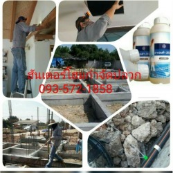 บริษัทกำจัดปลวกอุดร-หนองคาย