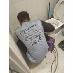 Looking for a toilet cloister