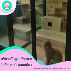 แนะนำโรงแรมแมวราคาถูก