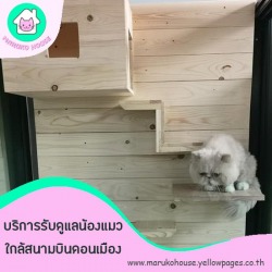 โรงแรมแมวรายวัน