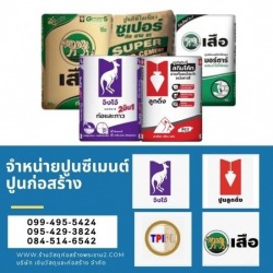 ร้านขายปูนซีเมนต์ ปูนตราเสือ ปูนตราจิงโจ้ ปูนลูกดิ่ง ปูนทีพีไอ พระราม2 พุทธบูชา