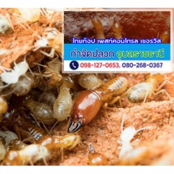 กำจัดปลวกอุบลราชธานี