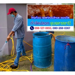 กำจัดปลวก อำนาจเจริญ