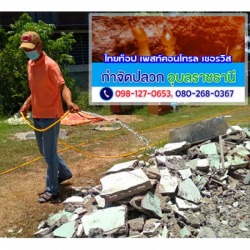 ฉีดพ่นน้ำยาป้องกันปลวกยโสธร