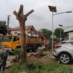 รับขนย้ายกิ่งไม้ อุบล