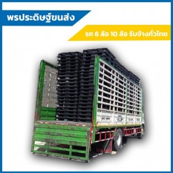 รถ 6 ล้อรับจ้างย้ายของ ชลบุรี