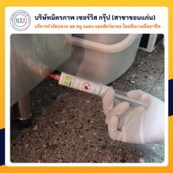 ขอนแก่นกำจัดแมลงสาบ