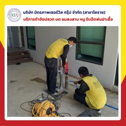 กำจัดปลวกตายยกรังโคราช