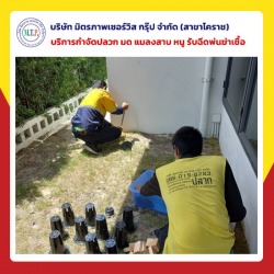 กำจัดปลวกบ้านราคาพิเศษ