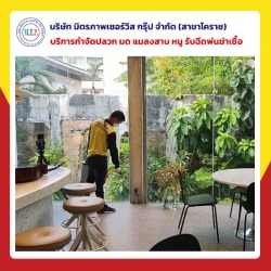 กำจัดแมลงสาบโคราช