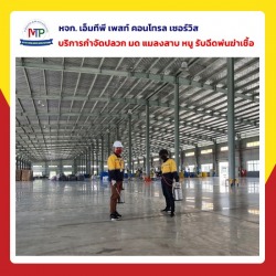 กำจัดมดเหม็น พัทยา