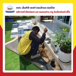 กําจัดปลวกและแมลงพัทยา