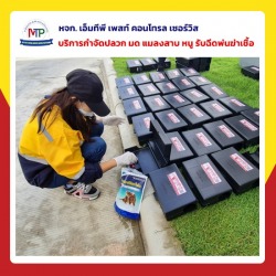 บริษัทกำจัดหนู แมลง ชลบุรี-พัทยา