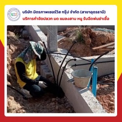 รับเหมาวางท่อกำจัดปลวกอุดรธานี