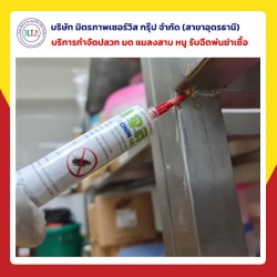 กำจัดแมลงสาบอุดรธานี