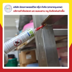 รับกำจัดแมลงสาบ บางบัวทอง