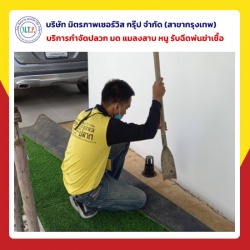 กำจัดปลวกบ้านตายยกรัง กทม