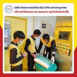 บริษัทกําจัดแมลง กทม
