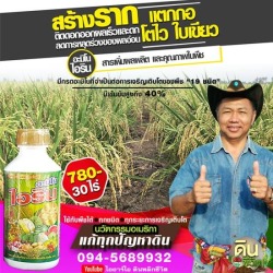 ขายส่งสารเพิ่มผลผลิตพืช นนทบุรี