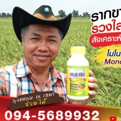 ขายส่งโมโน-ซิลิซิค แอซิด นนทบุรี
