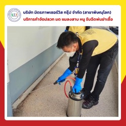 รับฉีดปลวก กำจัดปลวก