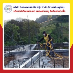 รับติดตั้งท่อปลวก รับอัดน้ำยาใต้ฐานบ้าน