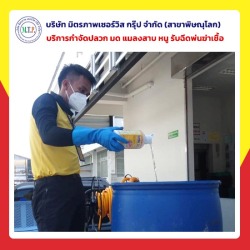 กำจัดปลวก พิษณุโลก