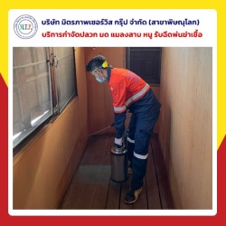 บริการกำจัดแมลงในพิษณุโลก