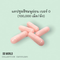 empty capsule factory