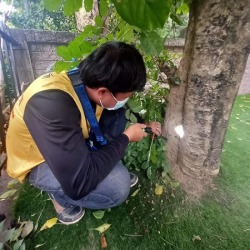 กำจัดปลวกหัวหิน