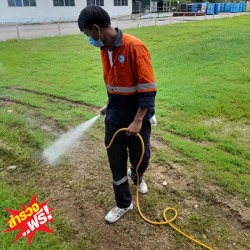 บริษัทกำจัดแมลงเพชรบุรี
