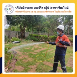 กำจัดปลวก เชียงใหม่