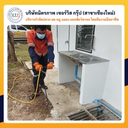 บริษัทกำจัดปลวกใกล้ฉันเชียงใหม่