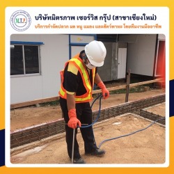 รับฉีดปลวก กำจัดปลวก เชียงใหม่