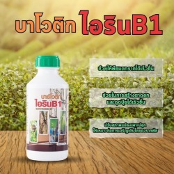 บาร์โวติก ไอริน B1