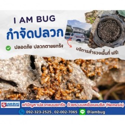 บริษัทฉีดปลวกใกล้ฉัน