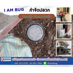 วางท่อกำจัดปลวกราคาถูก