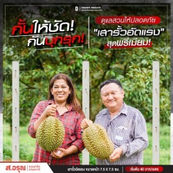 Fence post manufacturing factory, Pathum Thani