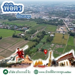 ขายที่ดินพิจิตร ราคาถูก