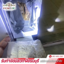 กำจัดปลวกด้วยระบบเหยื่อ บางแค