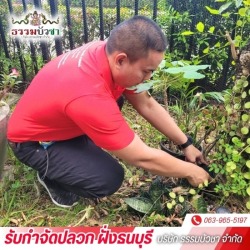 บริษัทกำจัดปลวก ใกล้ฉัน