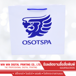 We produce paper bags at low prices.