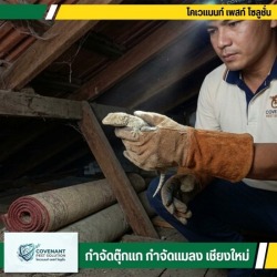 บริการจับตุ๊กแกถึงบ้าน โทรเรียกด่วน