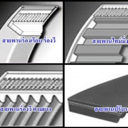 สายพาน สายพานส่งกำลัง สายพานเครื่องจักร สายพานเครื่องยนต์