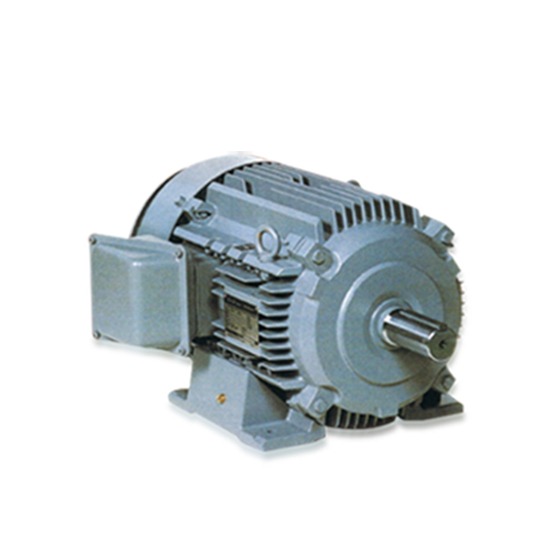 มอเตอร์กันระเบิด / HITACHI EXPLOSION PROOF MOTORS มอเตอร์  มอเตอร์กันระเบิด  explosion proof motors 