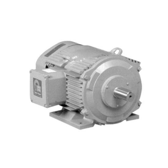 มอเตอร์ประสิทธิภาพสูง / HITACHI HIGH EFFICIENCY MOTORS มอเตอร์  มอเตอร์ไฟฟ้า  hitachi 